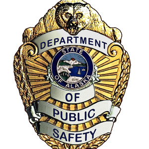 Team Page: Department of Public Safety